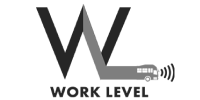 Work Level